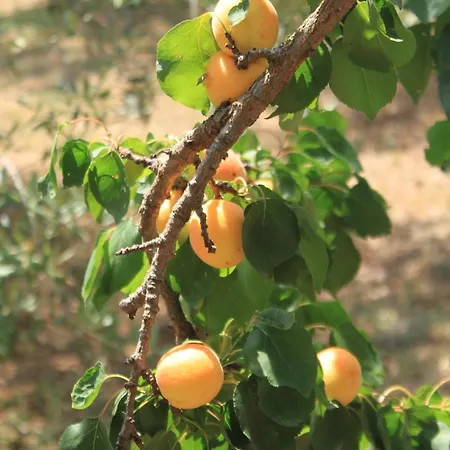 Seaside With A Swimming Pool - 829 우글랸