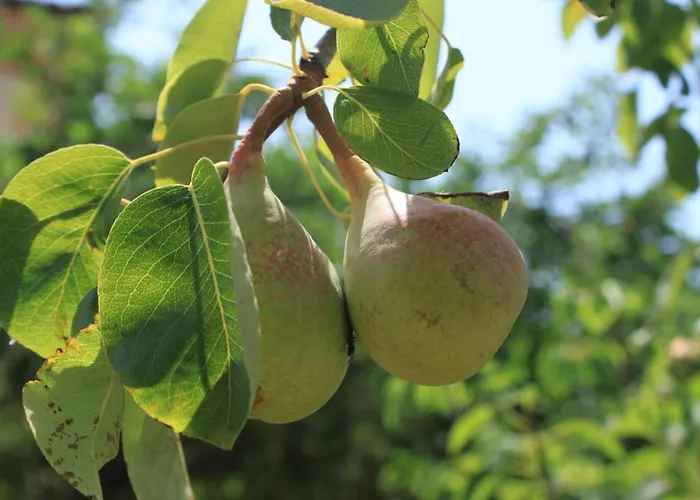Seaside With A Swimming Pool - 829 아파트 우글랸