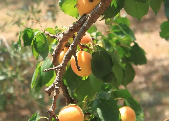 Seaside With A Swimming Pool - 829 우글랸